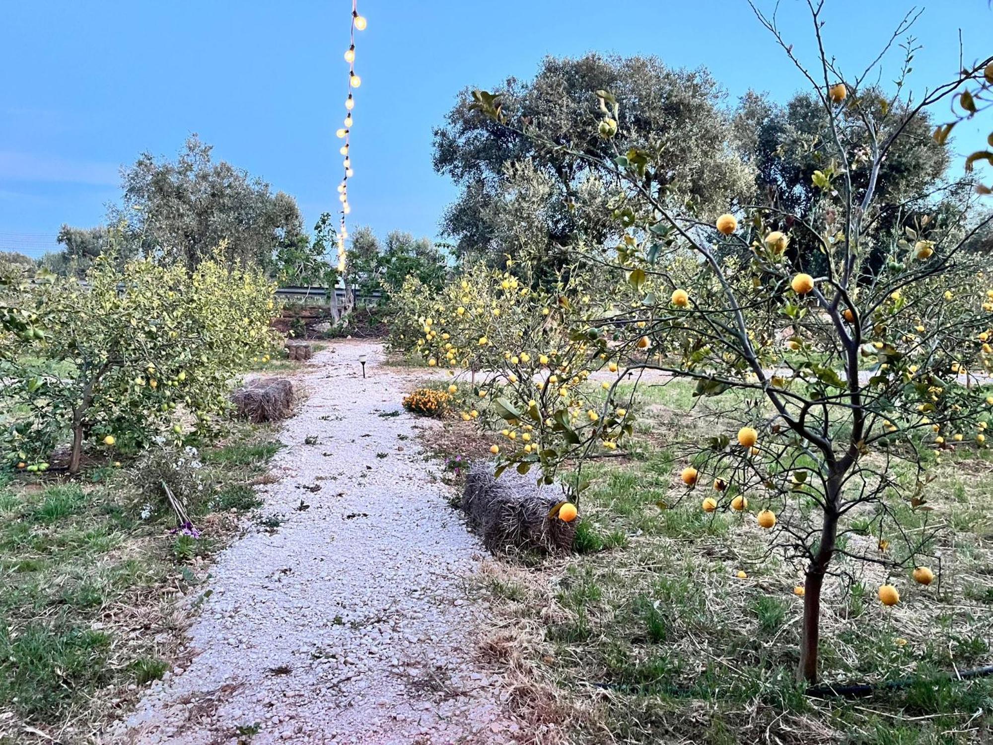 Don Peppe B&B Monopoli Εξωτερικό φωτογραφία